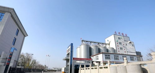 山東永明糧油擬在魯西南建設大型多功能面粉廠，助力區域農業經濟高質量發展